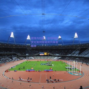 极速电竞平台：激情与归属，全球球迷文化如何塑造现代体育精神