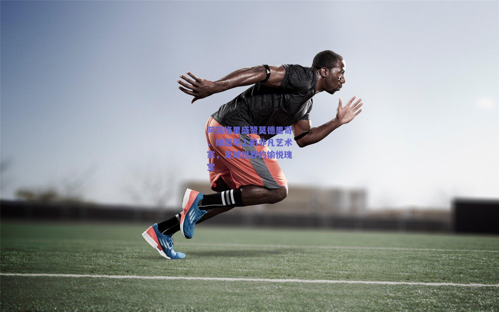 阿莱格里盛赞莫德里奇,绿茵场上的非凡艺术家,足球世界的愉悦瑰宝