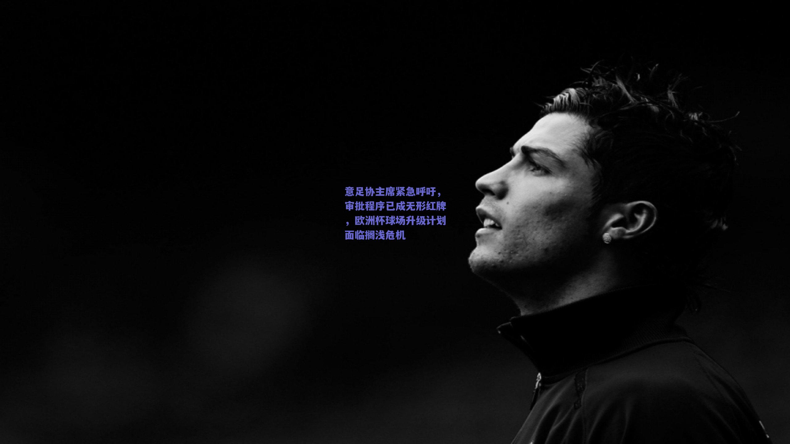 意足协主席紧急呼吁，审批程序已成无形红牌，欧洲杯球场升级计划面临搁浅危机